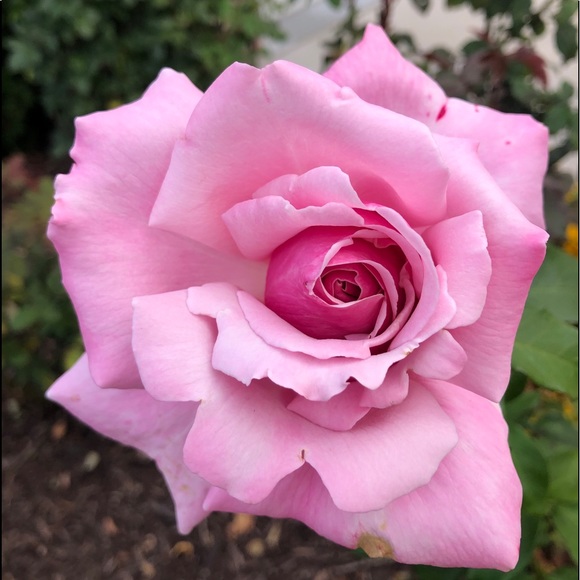 Meet your Posher, Sabine - Picture 1 of 1